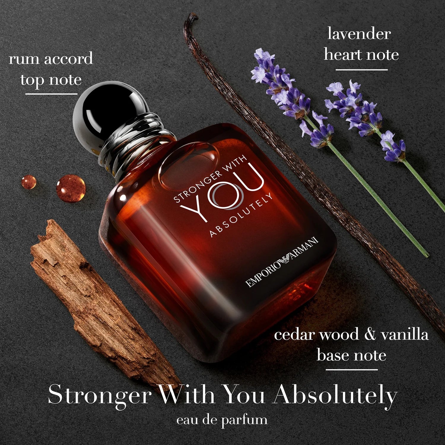 Armani Stronger With You Absolutely