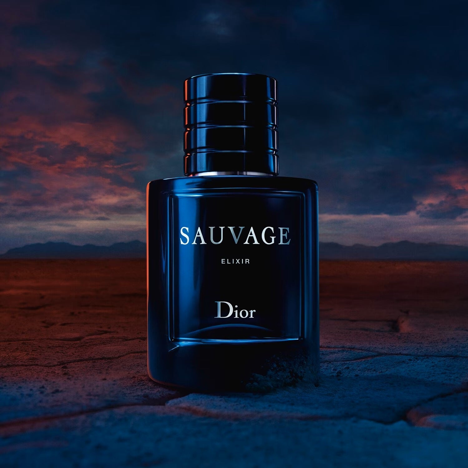 Sauvage Elixir - Erkek Parfüm