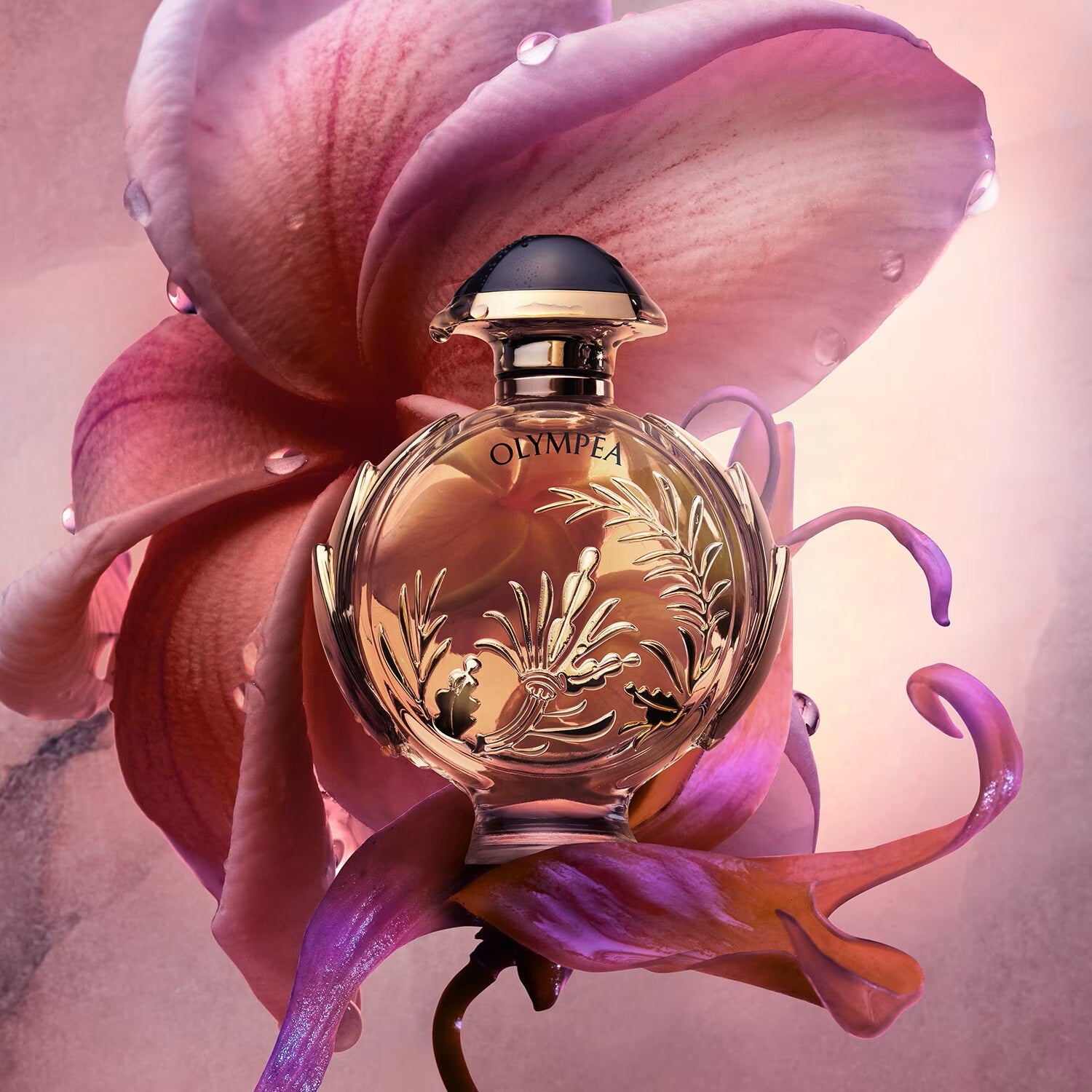 Olympea Soler - Eau De Parfum Intense