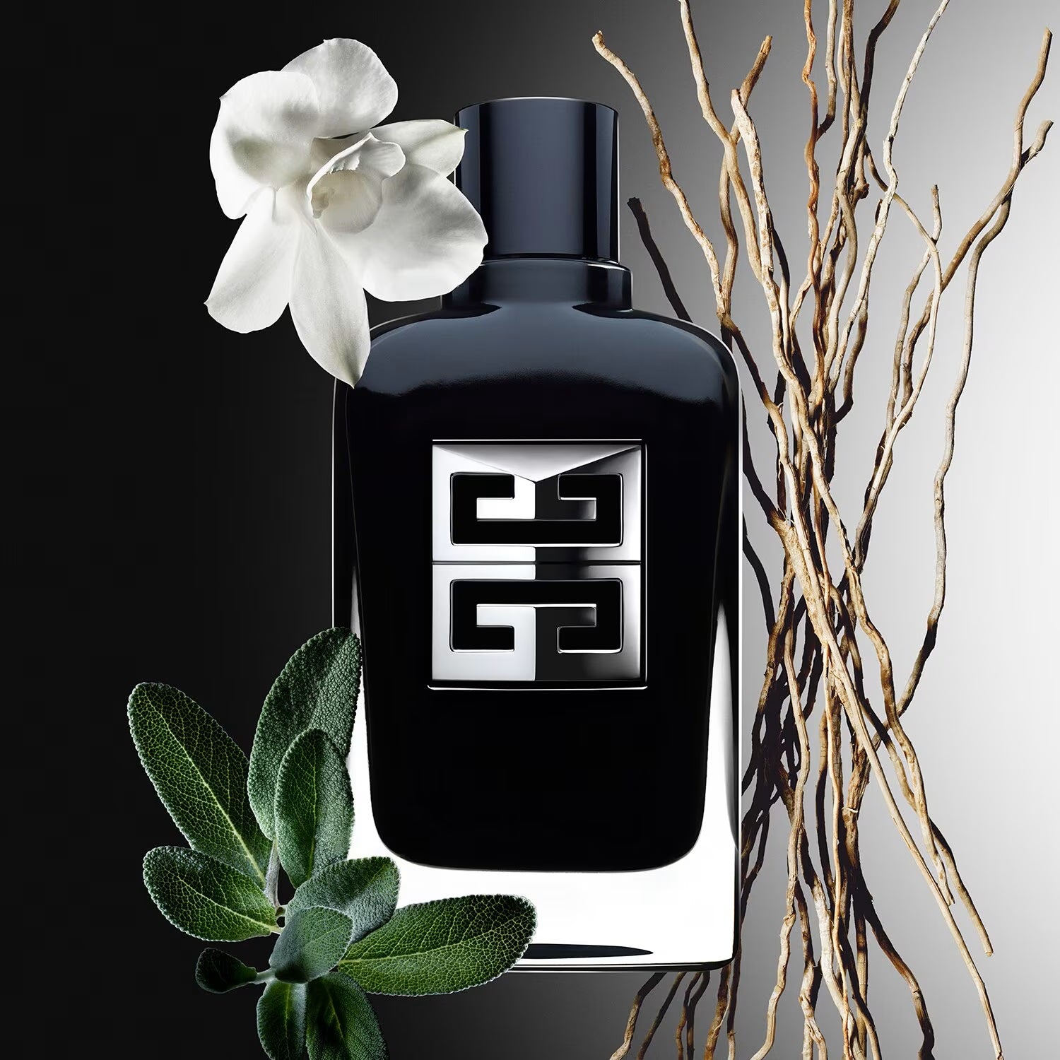 Gentleman Society - Eau de Parfum