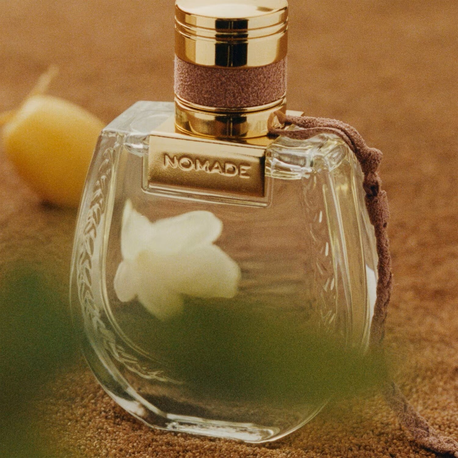 Chloé Nomade Jasmin Naturel Intense - Eau de Parfum Intense