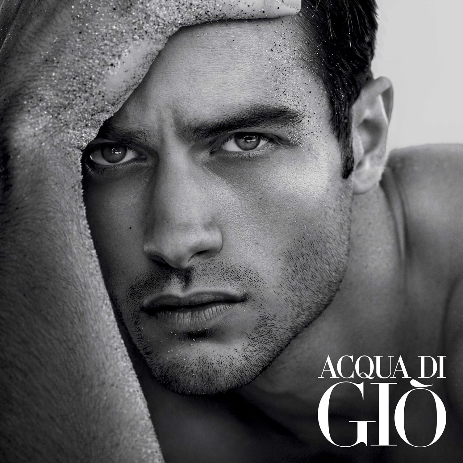 Acqua Di Gio - Homme Parfum