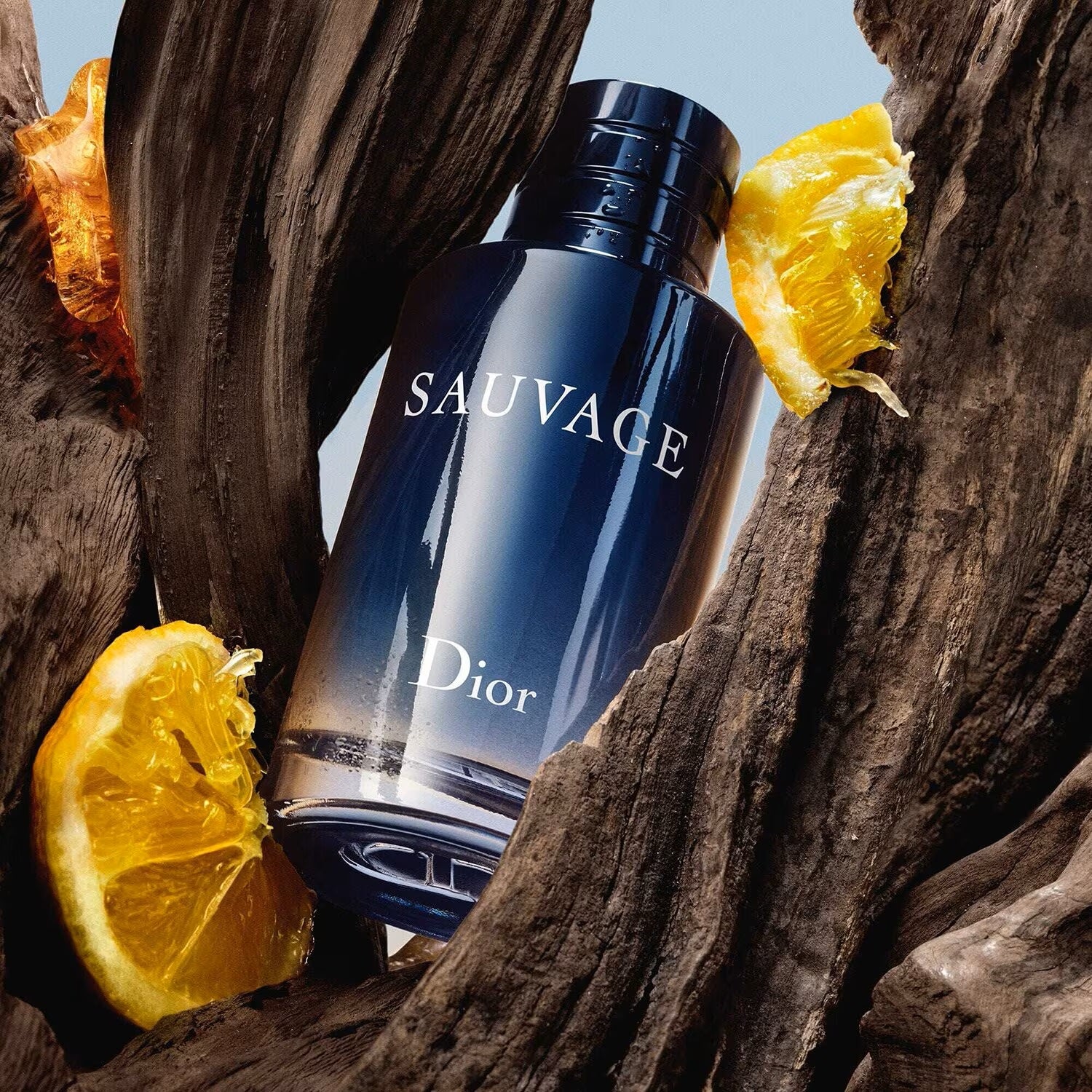 Sauvage - Eau de Toilette