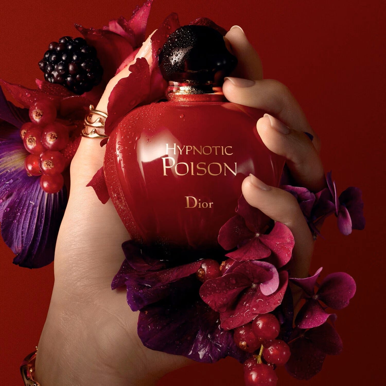 Hypnotic Poison - Eau de Toilette Pour Femme