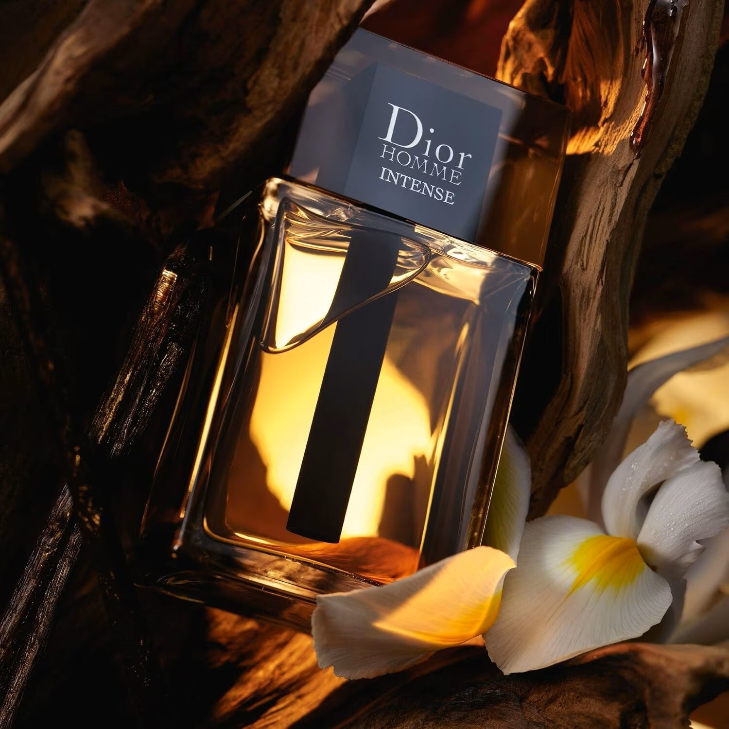 Dior Homme Intense - Eau de Parfum